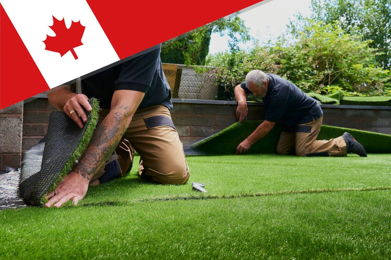 Cost of artificial grass in Caledon